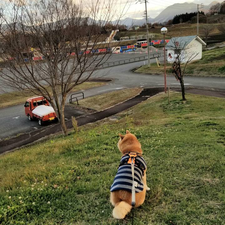 810273b0 6329 4988 95d7 40e7565b312f 1637823572395