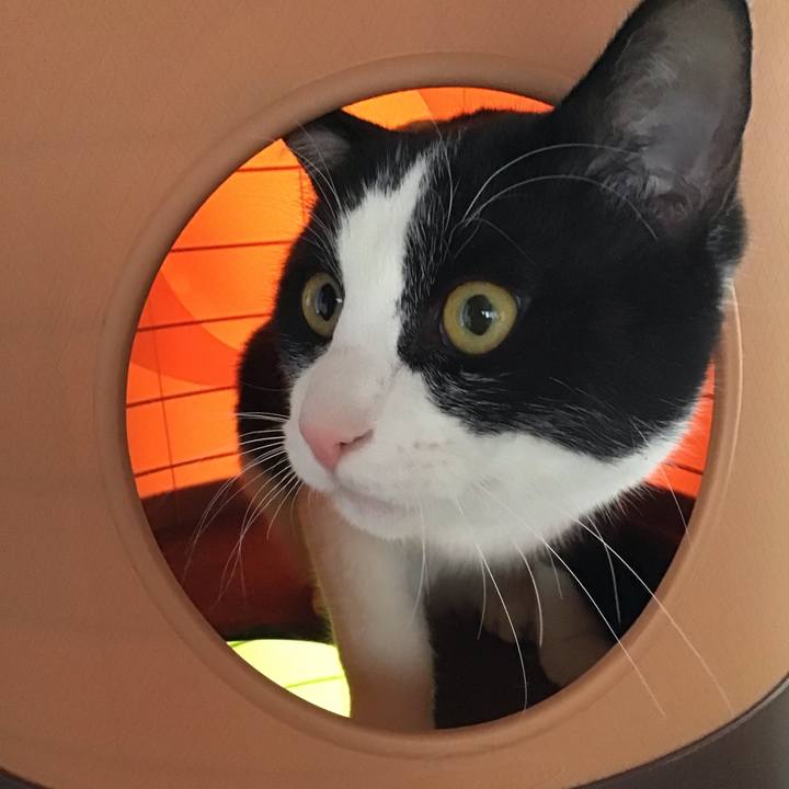 81028d4d 3bc1 4119 ad0d 4a17bd92a4e6 1646814512764