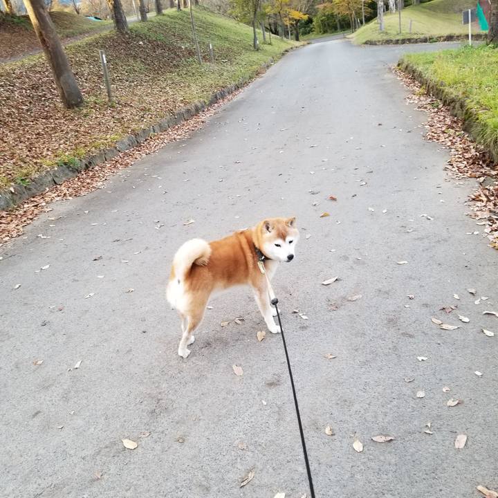 8102bc89 4847 4687 9dec 9a5e902be359 1666682625085