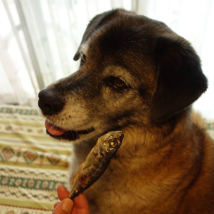 8102defc a576 47a0 a861 e9e3a9414425 1526452757534