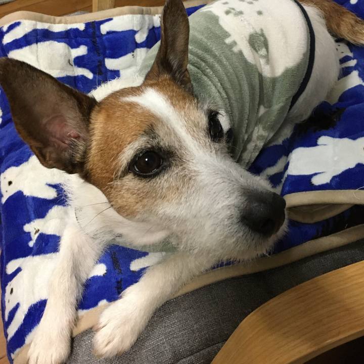 810300d7 7e11 4d5d ad66 34dba8045750 1616024193519