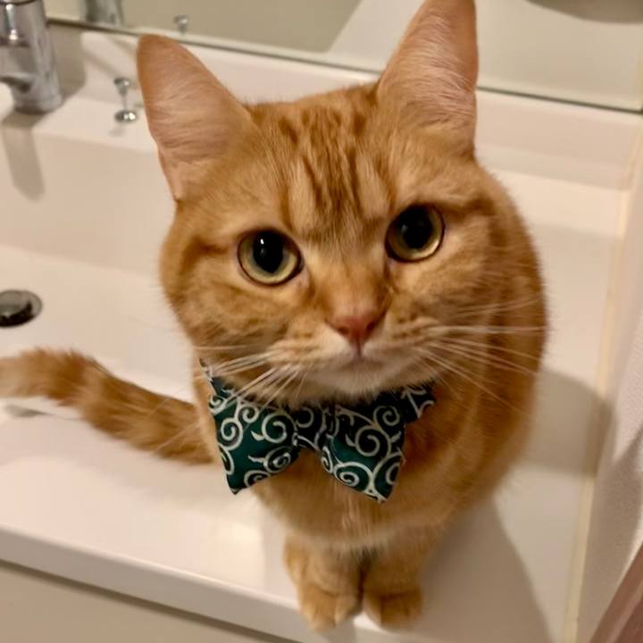 810315a0 656e 4003 8ea7 46c08a0eb4d2 1578530485841