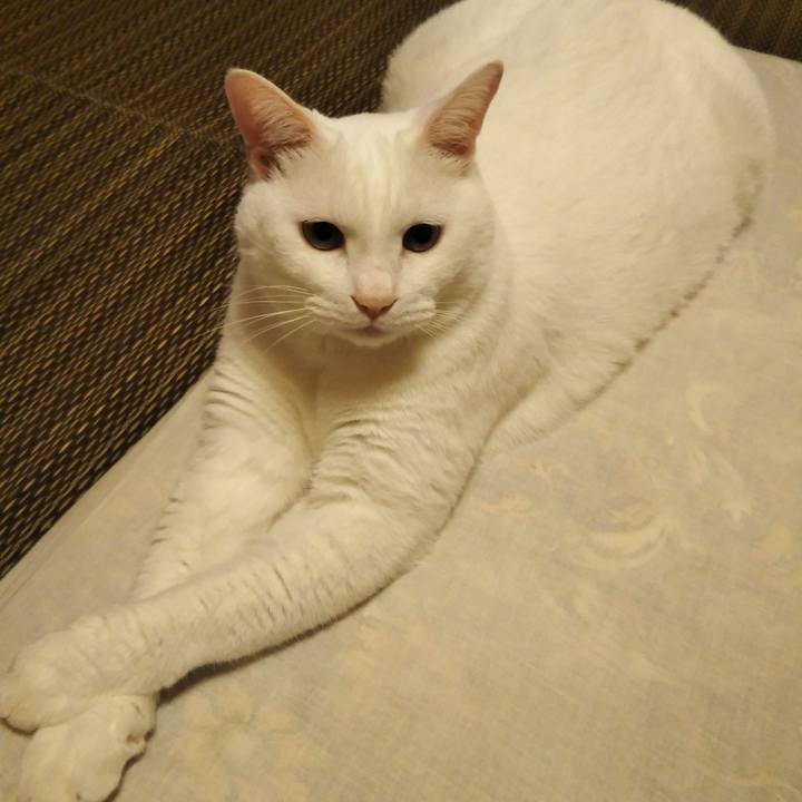 810325a9 d1b8 457b ba2d a9757ca82144 1564841648890