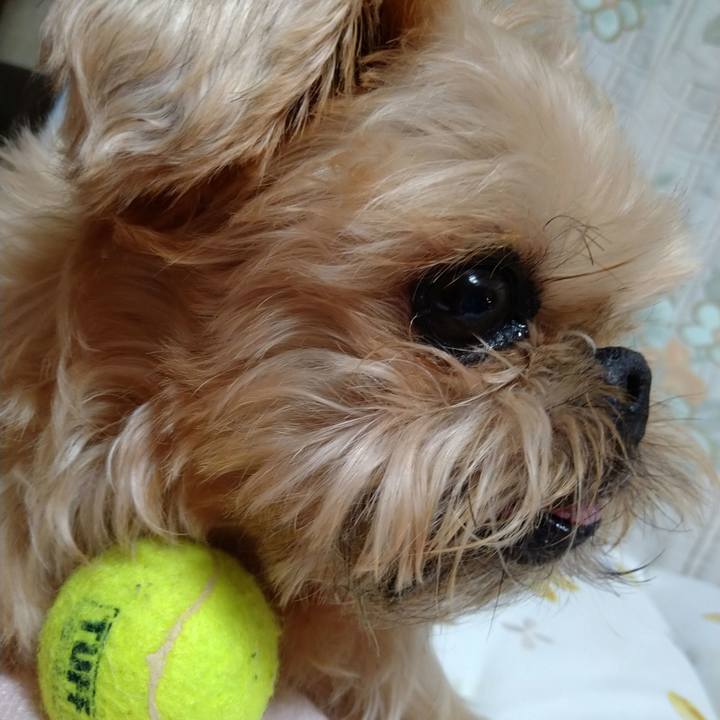 810328bd 5608 42bc 98eb 9f9332e3c572 1660562768865