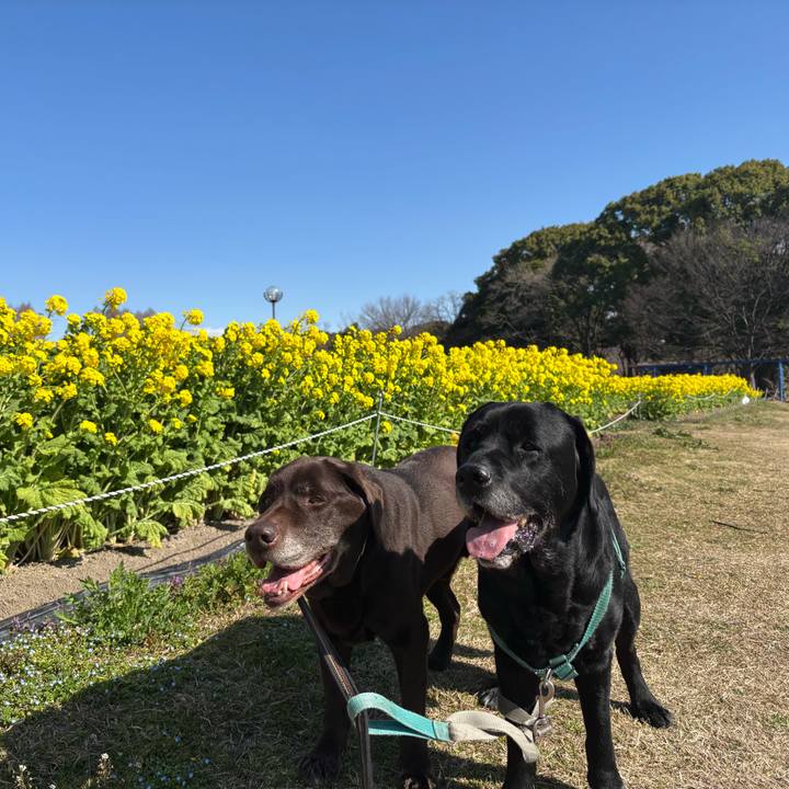 8103450b 30af 4c51 ae37 ccd297fd323a 1772283800933