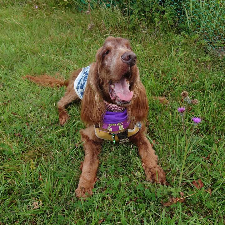 8103683b 617b 481d a5cf c9e713851f09 1663534859998