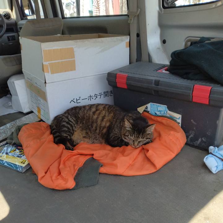 81036c87 17b6 4242 8448 3abc8b550173 1683608689297