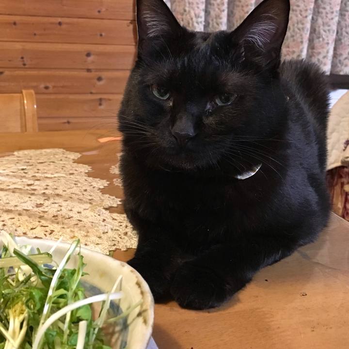 810376b4 f69f 4bbc 8341 f802518739ee 1615983683449