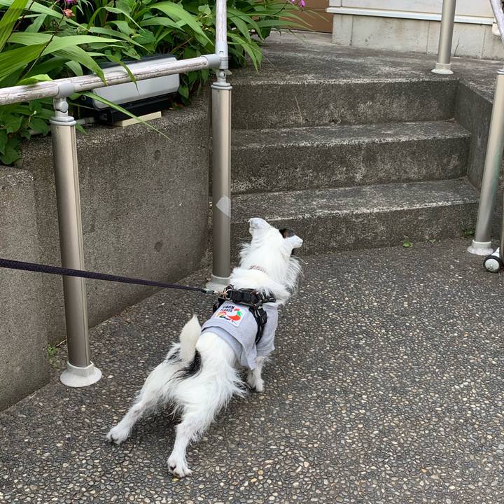 810390d8 86d6 436a acee eb7a47a5b608 1683333411397