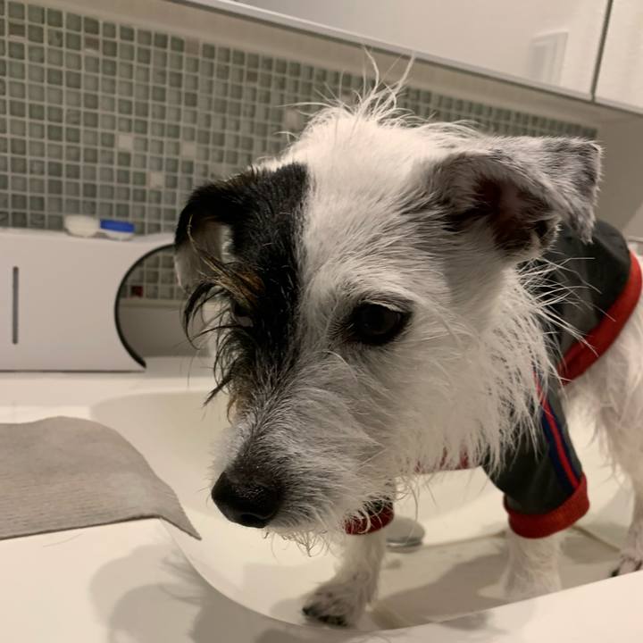 8103b75a ba46 4213 babf 180297773882 1652661493845