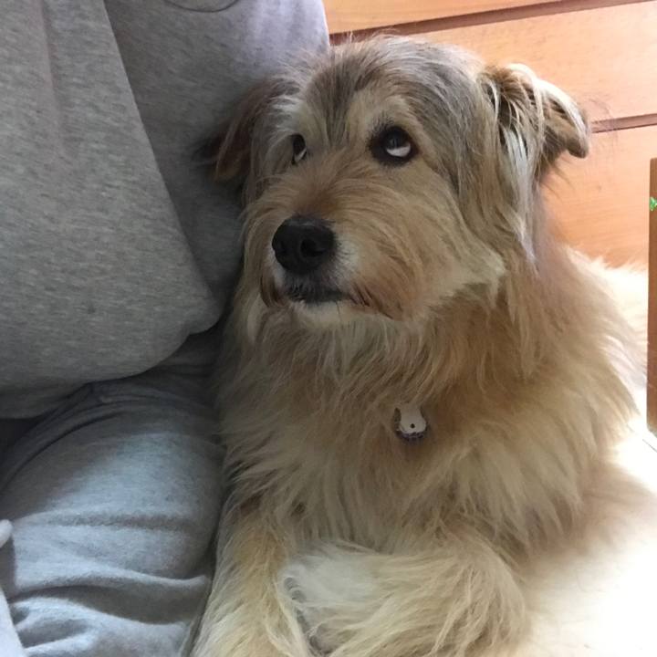 8103ba34 8aa7 4f1e 8e31 a79eef9660a6 1652829391112