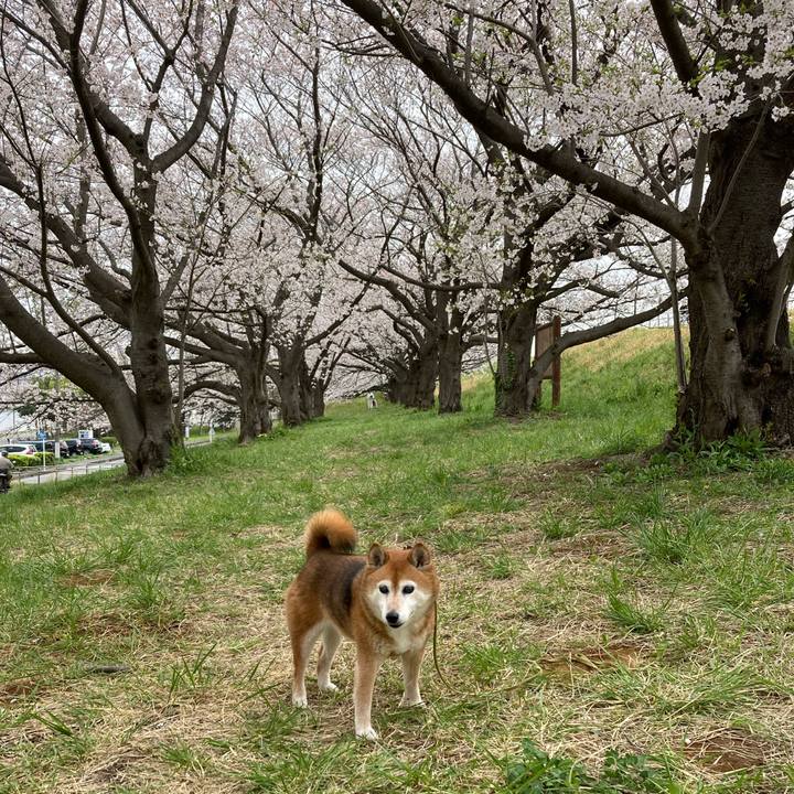 8103bc73 daad 4a43 8368 af4a4cb6ed25 1712566474929