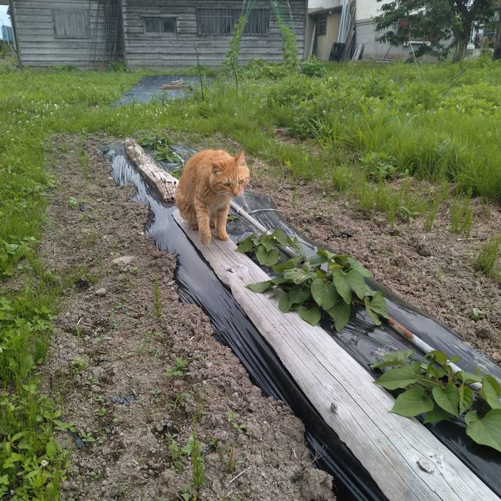 8103c600 e9f3 49f9 ac89 f5dfc459269d 1688719566359