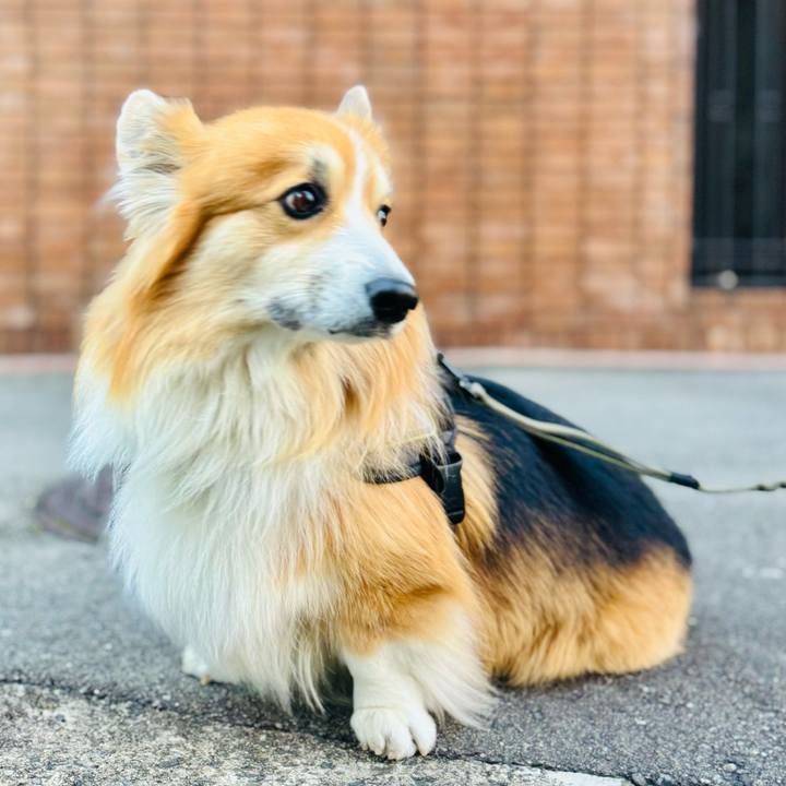 8103d6bc c100 489b a728 77ace497b43a 1765580670363