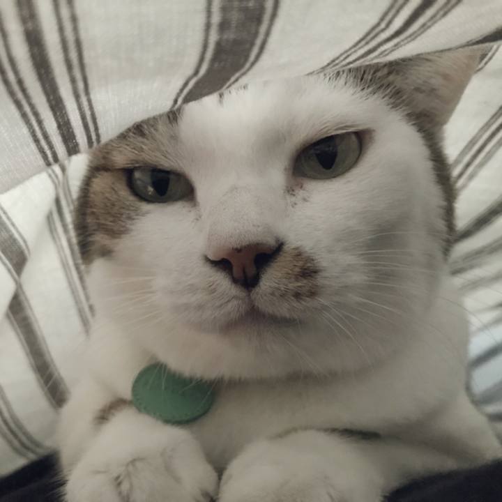 810410ef 8c0b 4a02 aca8 3957c17d7cac 1538287110210