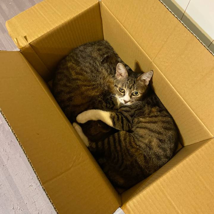 81044ead c552 4641 93bd e1e00a2be5cc 1631793493248