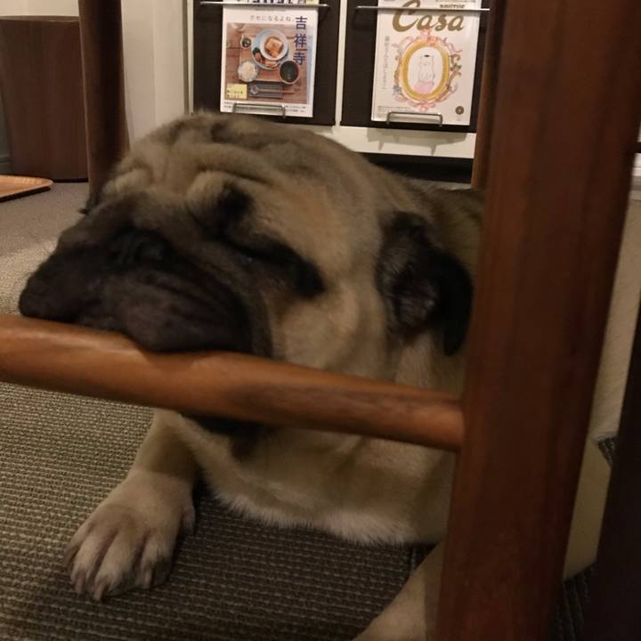 81045719 9ae7 4ca7 b21b b407228f451b 1570189205742