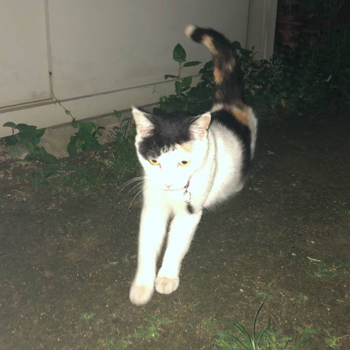 810467fb cccb 4ee2 b232 3370233a1f7e 1625316014623