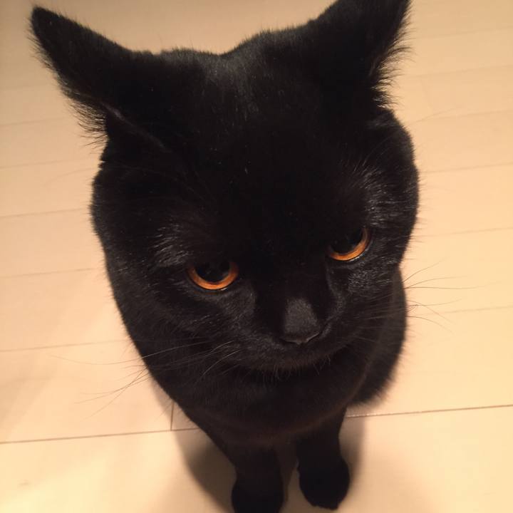 8104968a 0187 4d0b b366 3b3a28f62c42 1517313653068