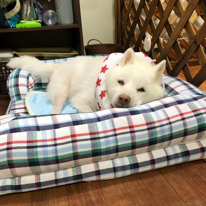 81049a6a cbd6 4724 a039 6e2bf238c3da 1626078119955