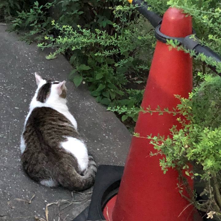 8104a03b f7ba 4e16 a293 5857eba42ebd 1536239833138