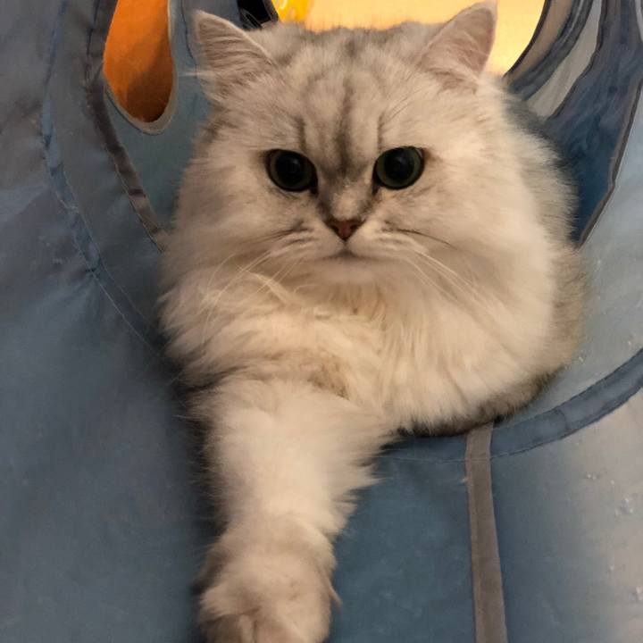 8104afb2 53ba 446d b1bc b58003d5f158 1566514580444