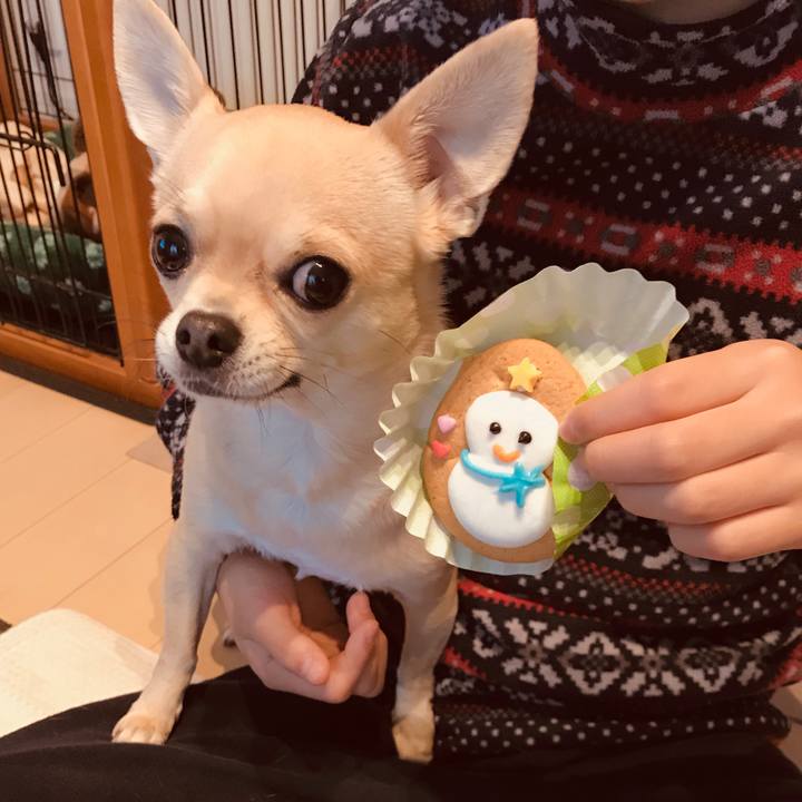 810510ac f3d0 40c5 b702 3545b88bb22c 1546041352632