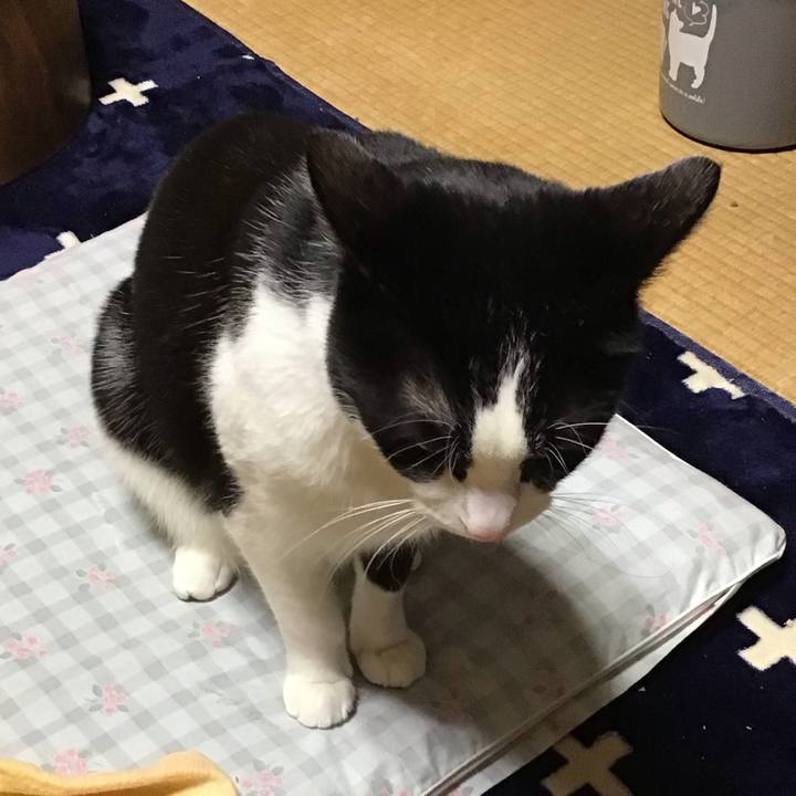 81053dde 300b 4c1c ae10 ea1ddd30447b 1707479374940