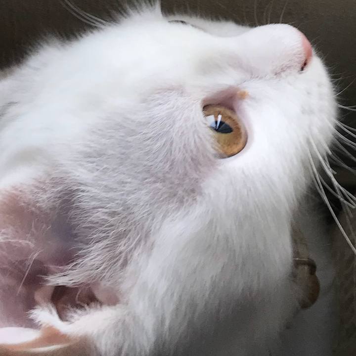 81055450 0800 4777 b431 d952581f58ca 1509182625939