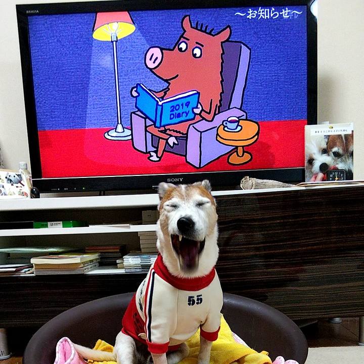 81057e46 de7c 40f2 aae6 6b0afaa1aec7 1576707900690