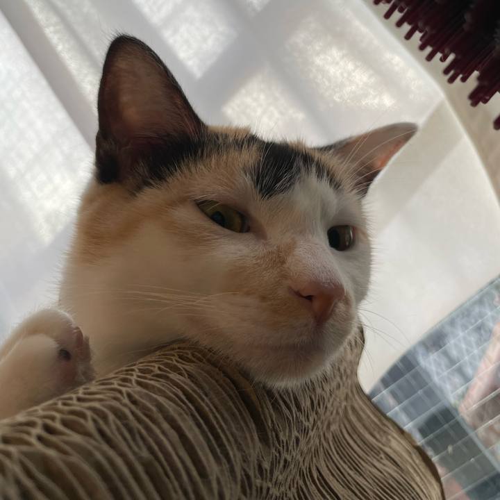 8105d5f8 67e6 4d0f 8a0e 4e5df3f92671 1677967857150