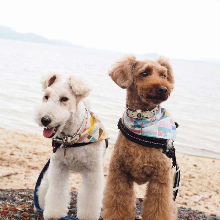 810613fe 628d 4ddb 949c 92b5184ad2fb 1541312757295