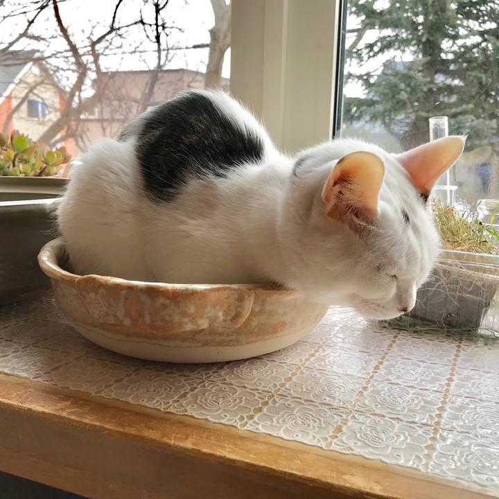 8106798d d65b 4670 9b24 4fe3d7791363 1553912499655