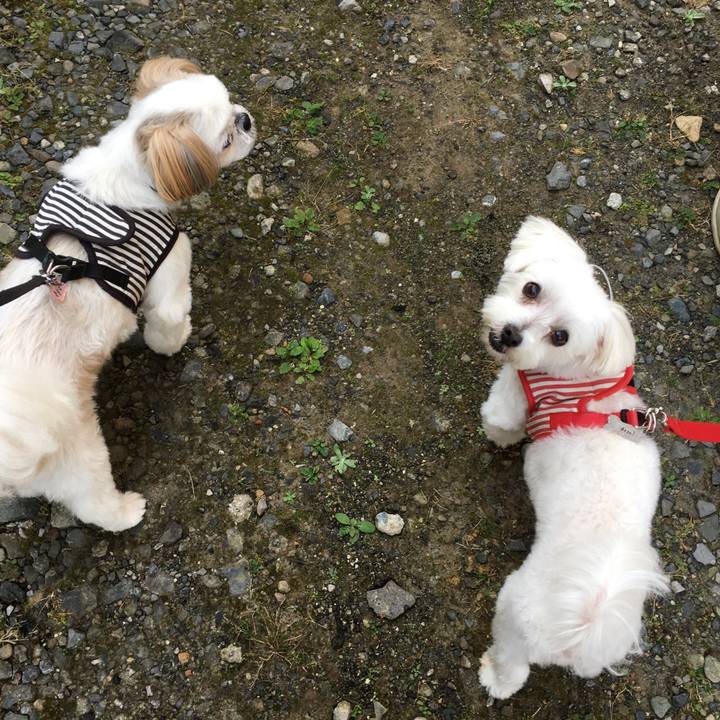 81068eaf 7132 4899 a6ea 97f04a776575 1569971537578