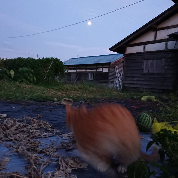 81069e1f f239 43ca 9cf2 4705c361fb56 1568107346629