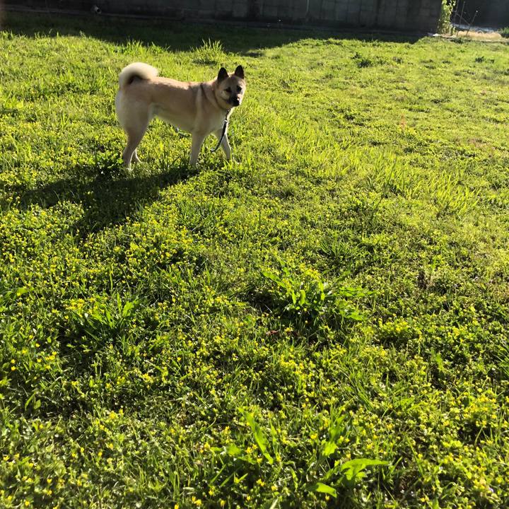 8106dc50 d840 4a21 9410 68faf1ddde94 1588854129941