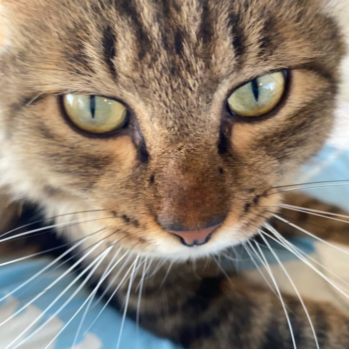 8106e49f d9bc 4837 9830 6236c17433d3 1725426353537