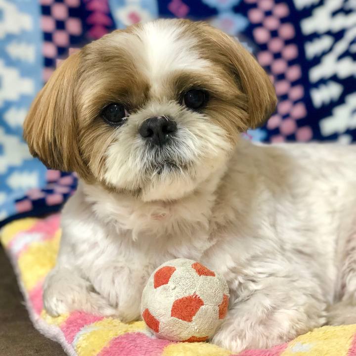 8106fa09 58a0 41bb a031 f2db578e2363 1569668017377