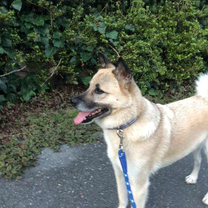 8106fd6a a010 49ba b091 5ac7ed21bce7 1629892335621