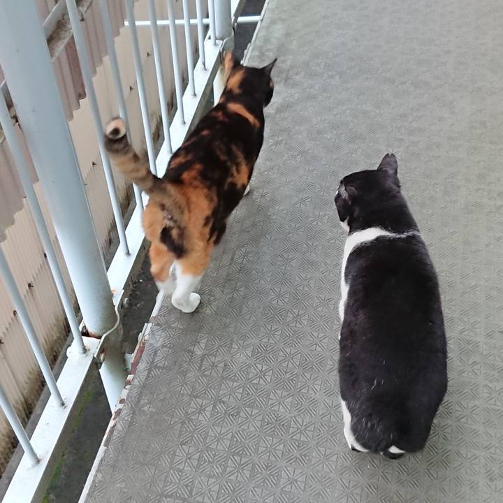 81071765 0aed 47f5 b1f7 01e13f47c72f 1666756188452