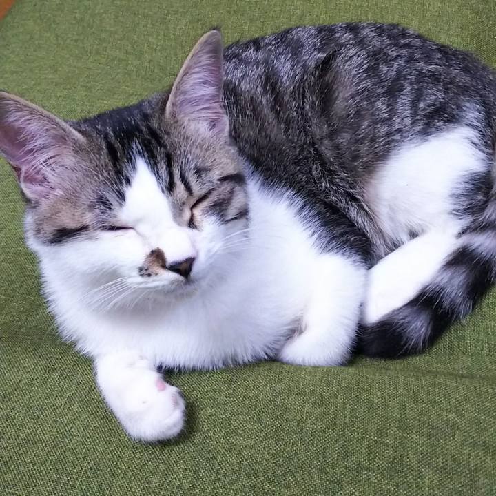 8107801f e297 4b6b aa5a 693408997b1b 1612872150765