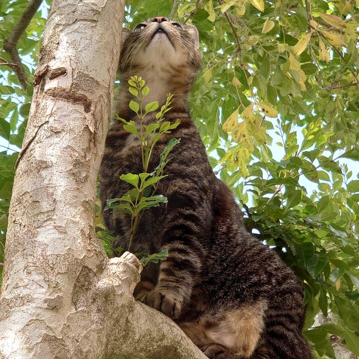 8107c85c 30a1 4dd6 bbb7 26d14eb9bf74 1617246851666