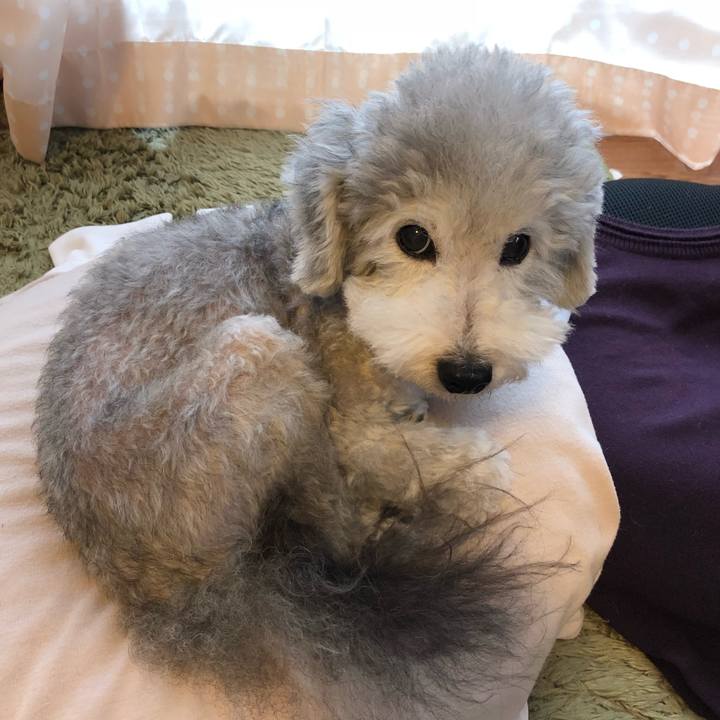 8107d7ea 0ade 4b7a b50d 1e65753b7368 1536621484198