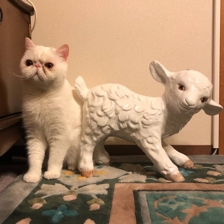 810824c0 9f57 49dd 936b 4d553a41a837 1647430771799