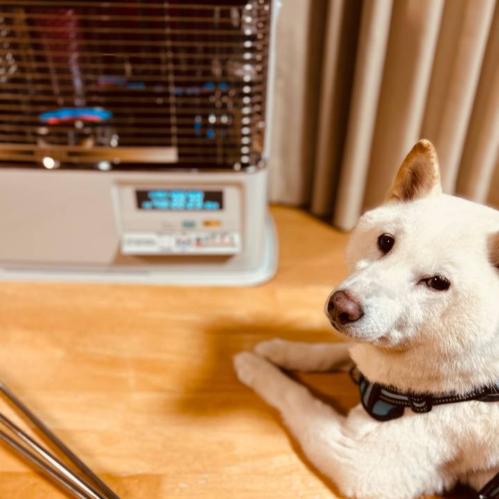 8108446c 4017 4e13 8d83 c5a00ef09fba 1732140414944