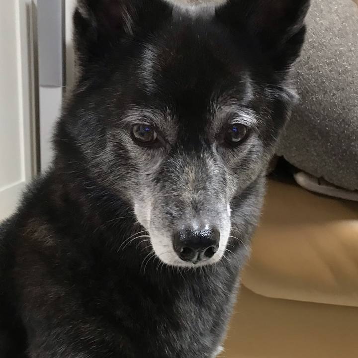 8108604a b42a 4c5a 81bb a36bf0c22b0c 1615959142175