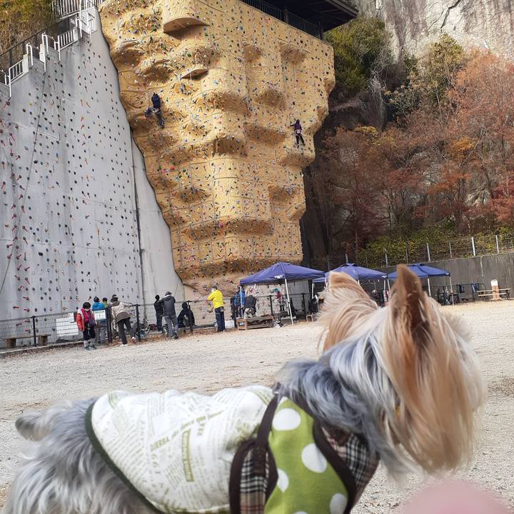 81088911 4d99 4e77 a432 588844267aac 1638771827773