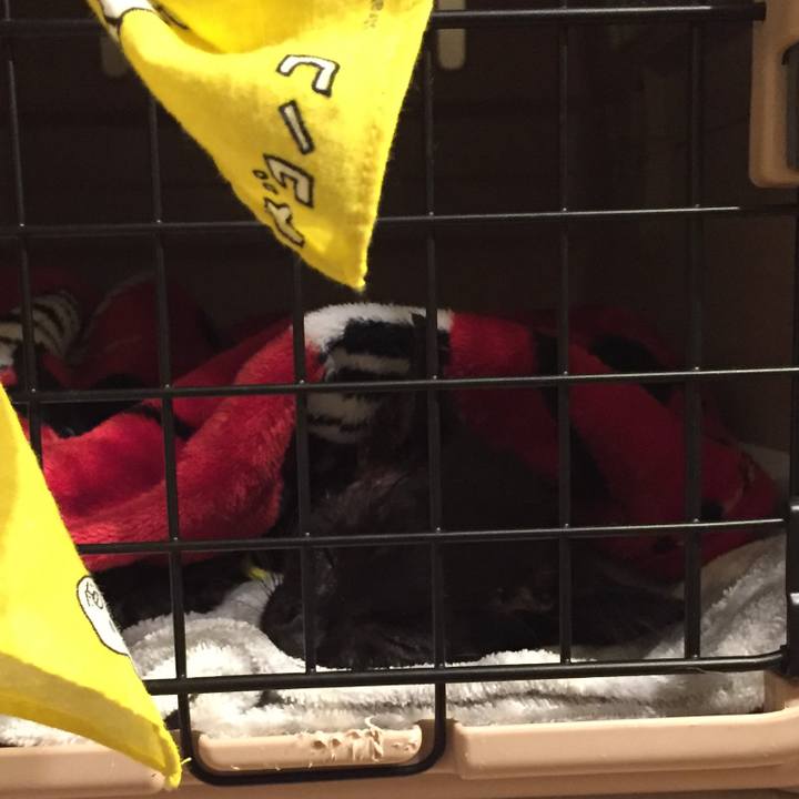 8108cc92 0c31 4c20 b791 aa79625641fa 1532877533556