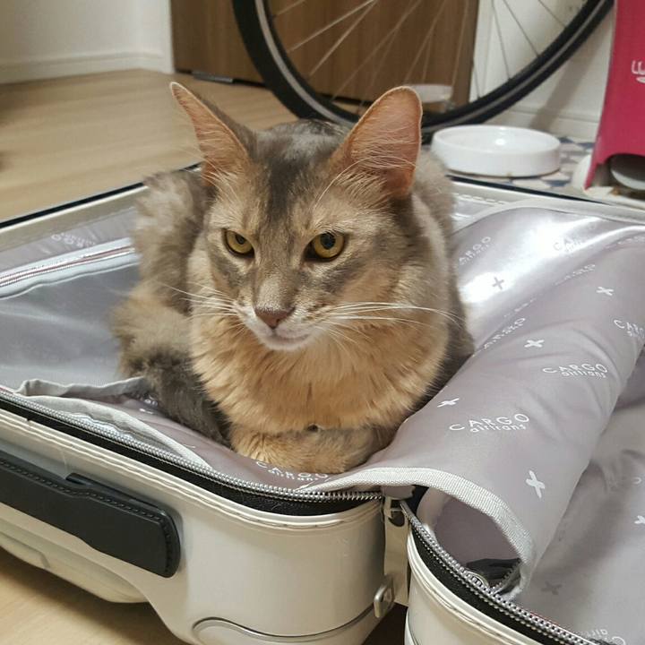 8108d399 6822 4b0c 81e7 0243d0c7fb4b 1538914923442