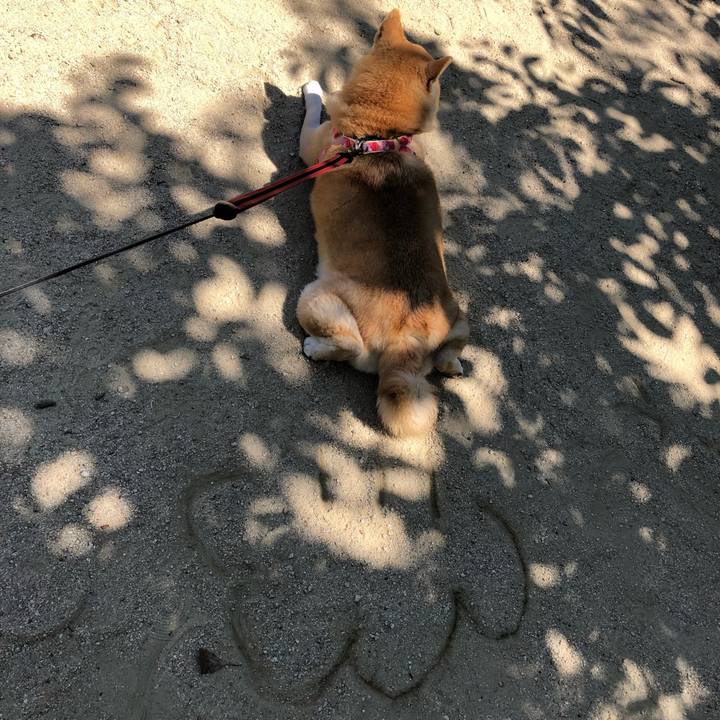 8108e150 4ddd 4c5f ac8b 55a140537b36 1557292647444